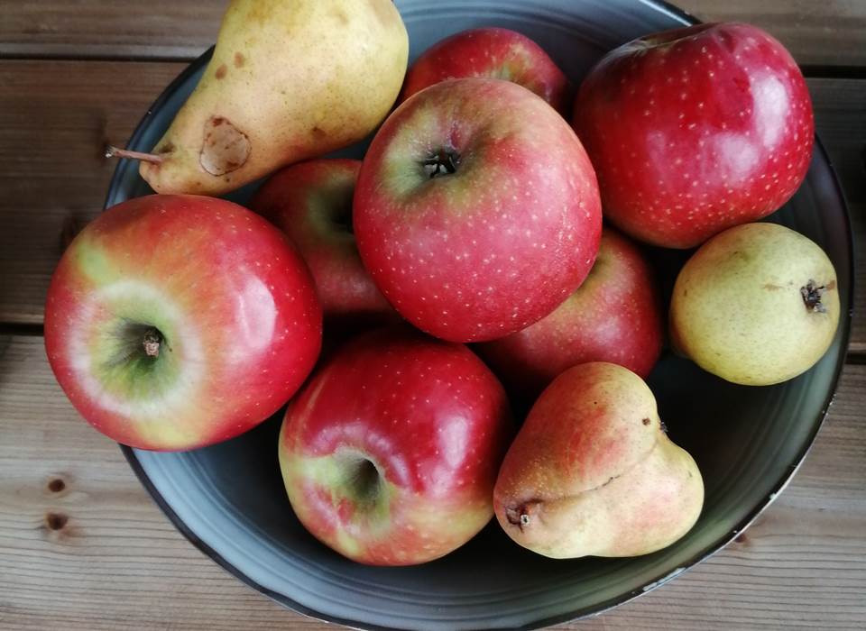 Les pommes du jardin