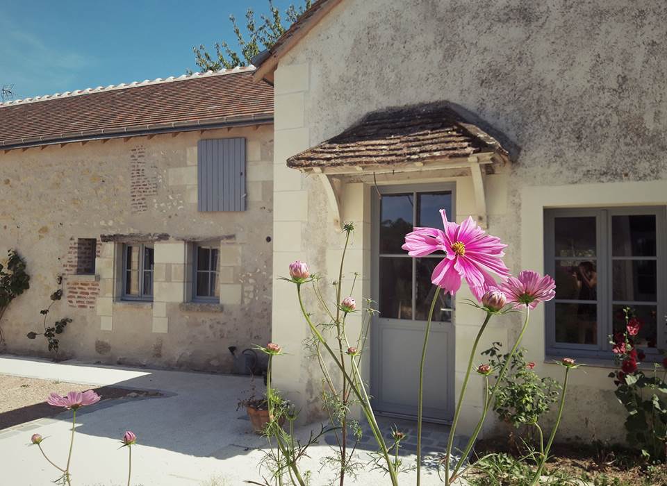 Maison-Chemin-Chambres-d-hotes-Amboise-cosmos