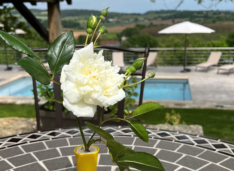 Piscine Gîte La Blanchie Haute