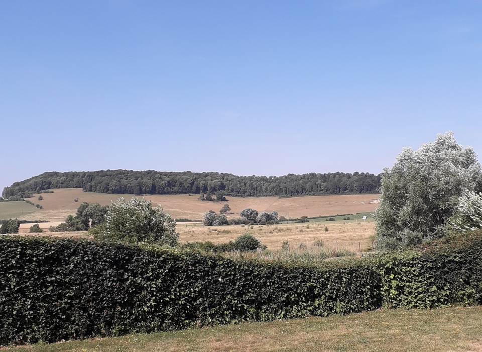 IMG_20190709_102732_826-min