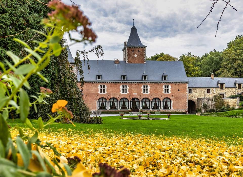 Le Ginkgo en automne