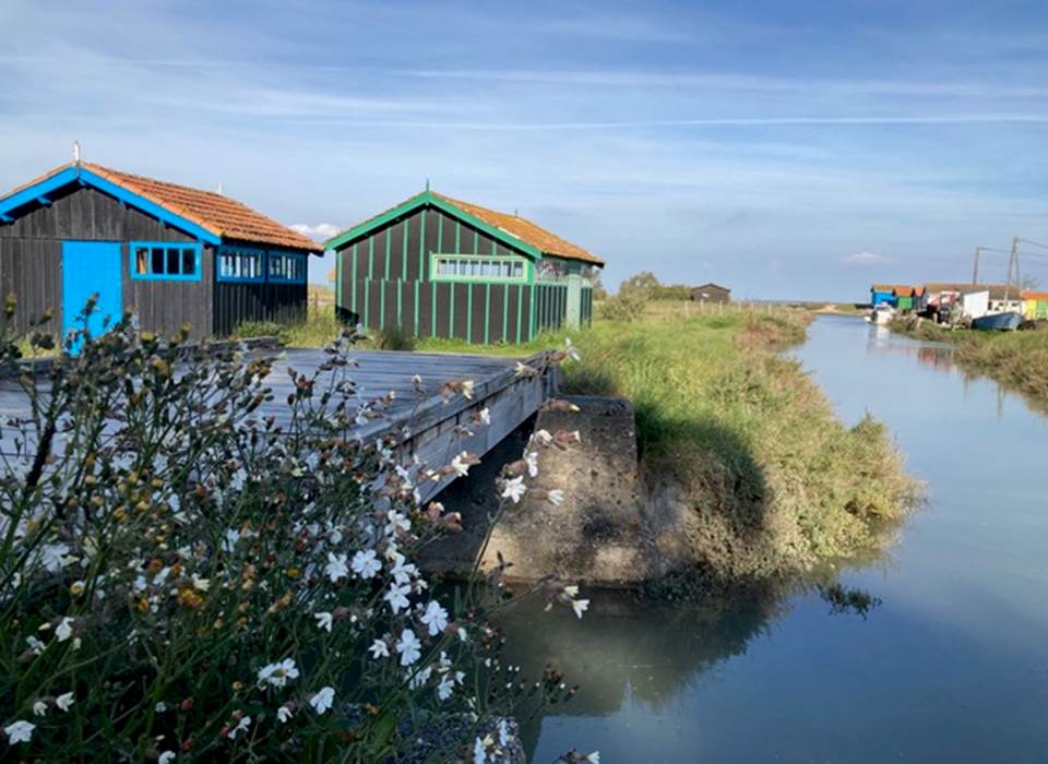 Les cabanes d'huîtres