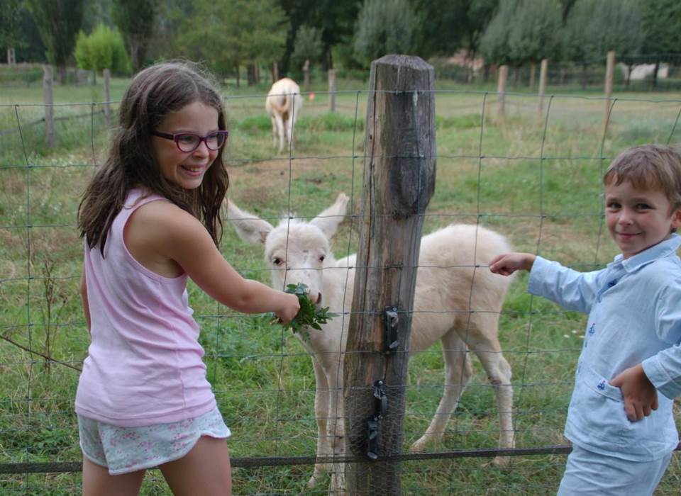 web-mini_ferme_enfants_avec_les_animaux_3-1354x900