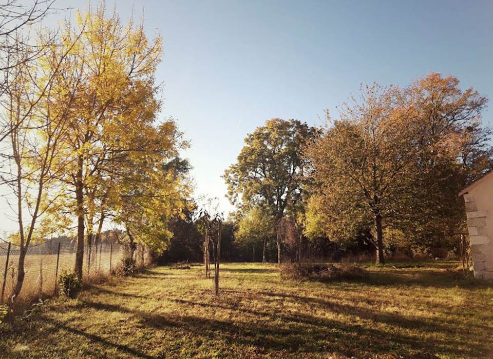 Maison-Chemin-chambres-d-hotes-Amboise-sejour-chateaux-de-la-Loire