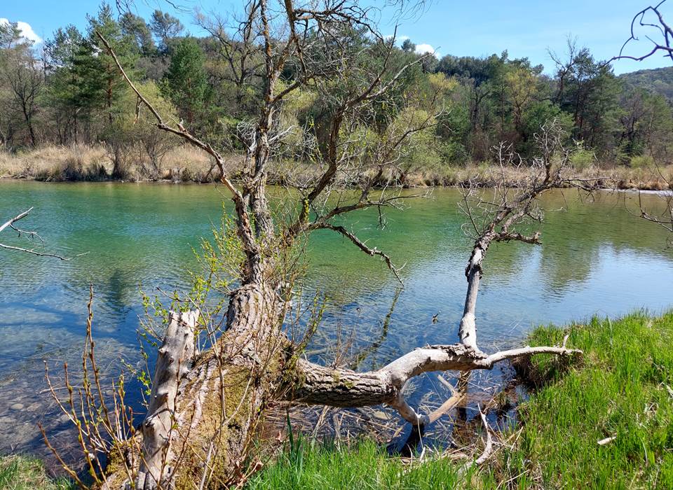 Verdon Pontoise4-k