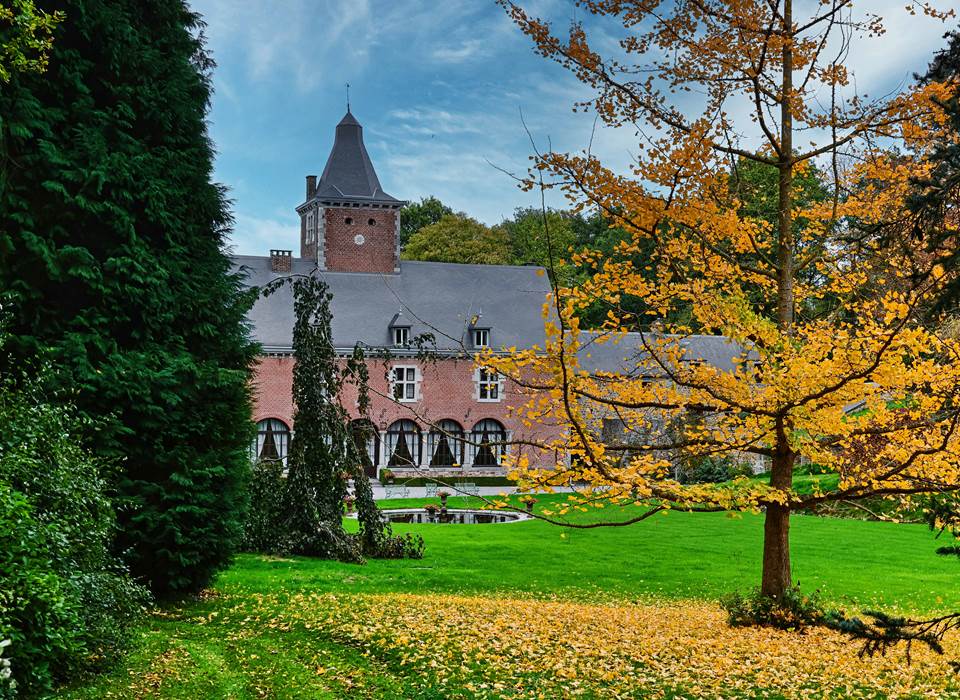 Le Ginkgo