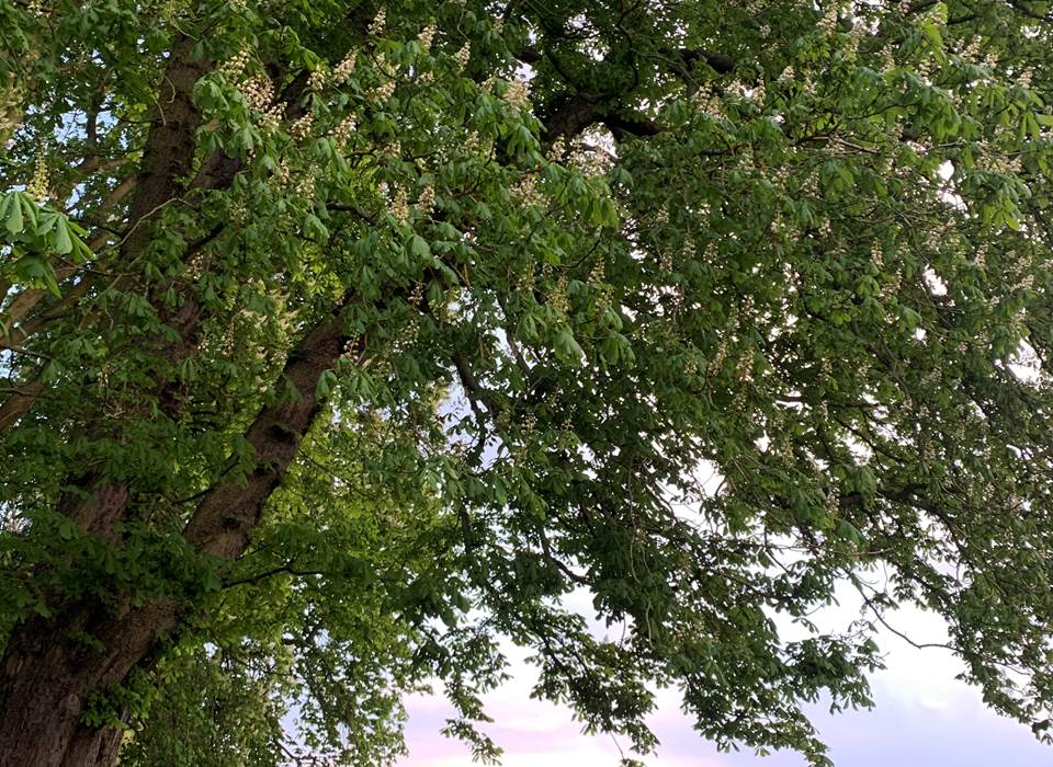 campagne à 1 heure de paris, séjour au vert près de Paris, nature, week-end bien-être