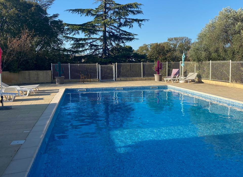 La piscine avec le cèdre majestueux MVG