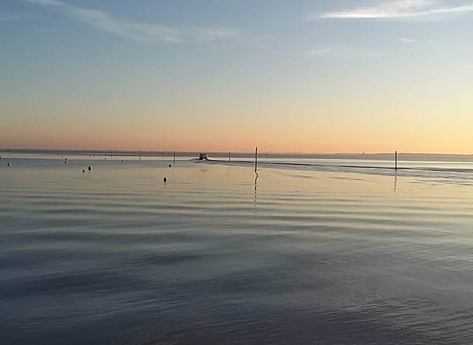 Possibilité de sortie en mer avec différents partenaires. En voilier pour une découverte naturelle et respectueuse. Ou sur le chaland d'un ostréiculteur pour une journée d'immersion
