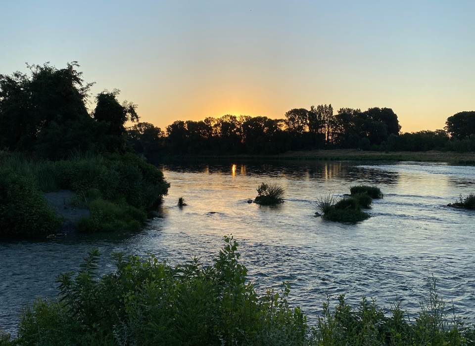 Balade matinale, le Rhône... demandez nous conseil ! MVG