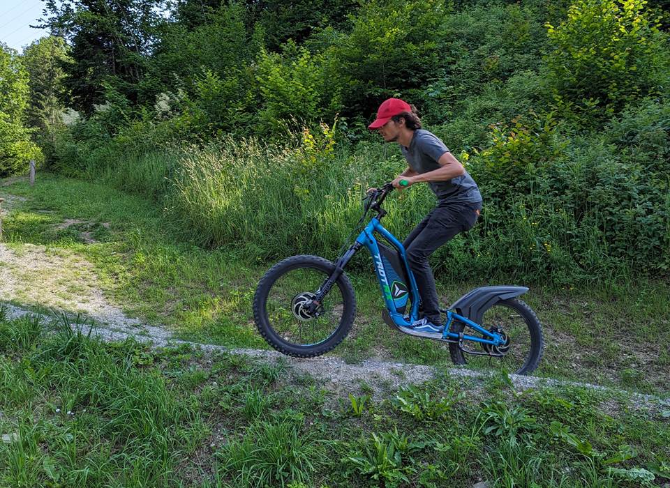 Montée dans la forêt