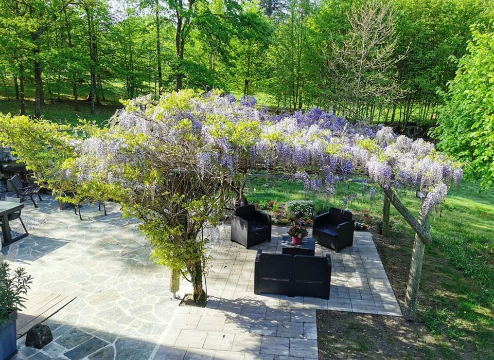 Terrasse ombragée sous la glycine