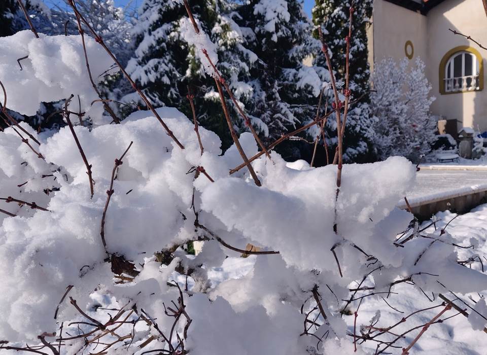 Neige sur le jardin du gîte