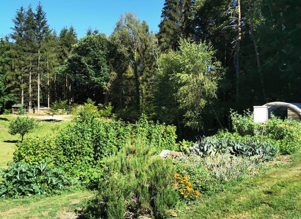 Le potager