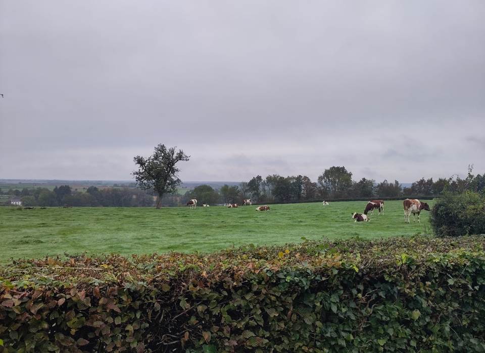 IMG-20231023-WA0013