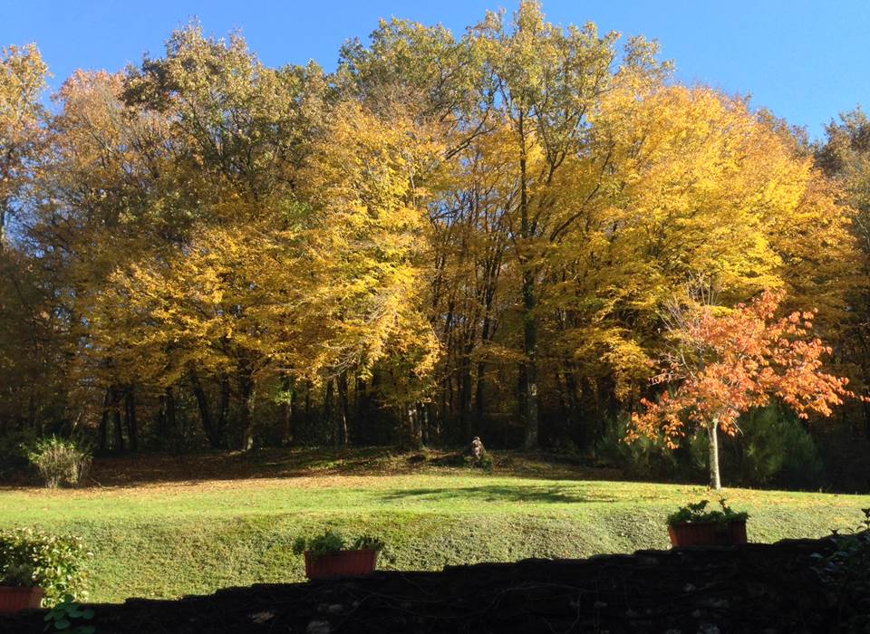 le Pradel automne (1)
