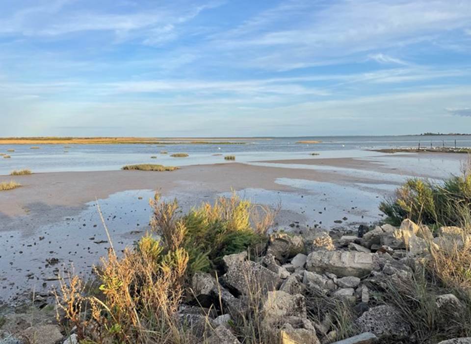L'Estran à marée basse
