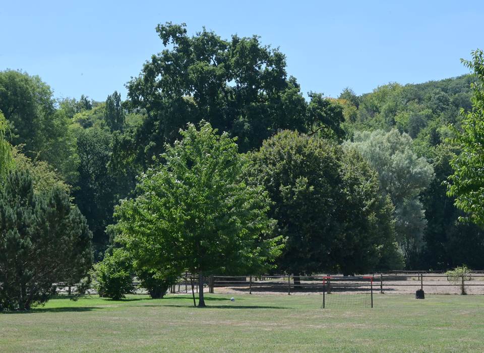 Vue sur le parc arboré