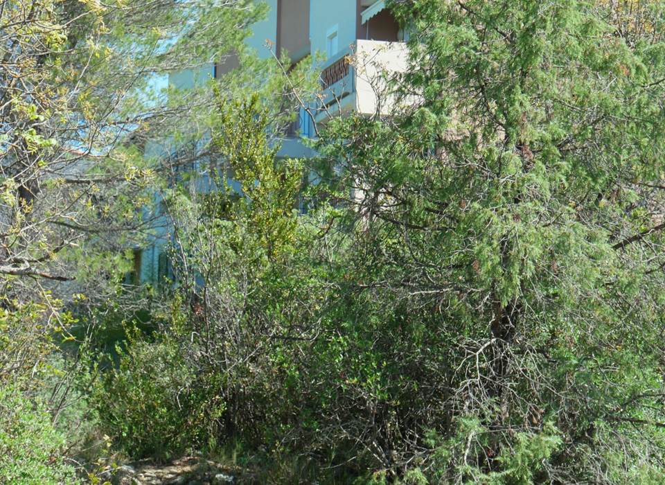 Vue de la garrigue-k