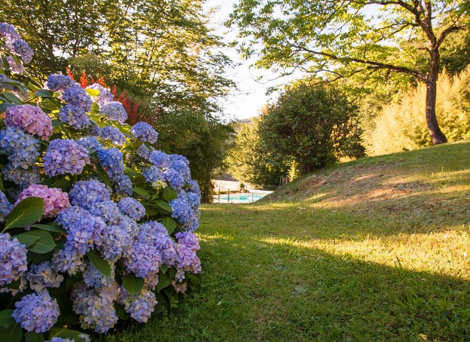 au jardin... - Copie