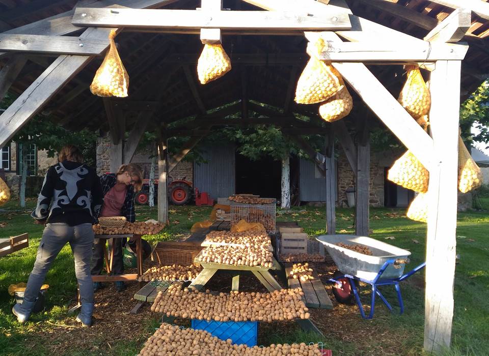 noix, produits locaux, camping locale producten, notenolie, huile de noix, noten boomgaard, noyeraie
