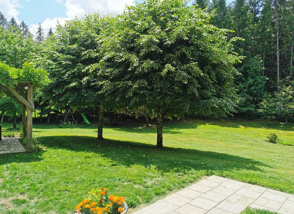 Vue sur le parc, le coin enfants et le poulailler