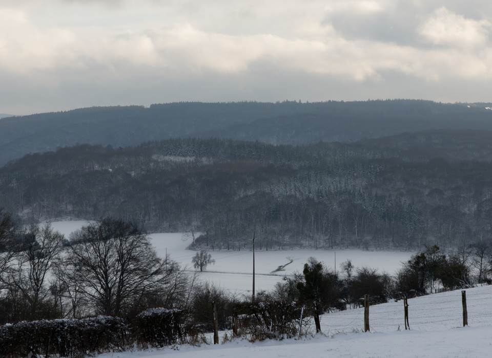 Vue générale d'un paysage vallonné en hiver