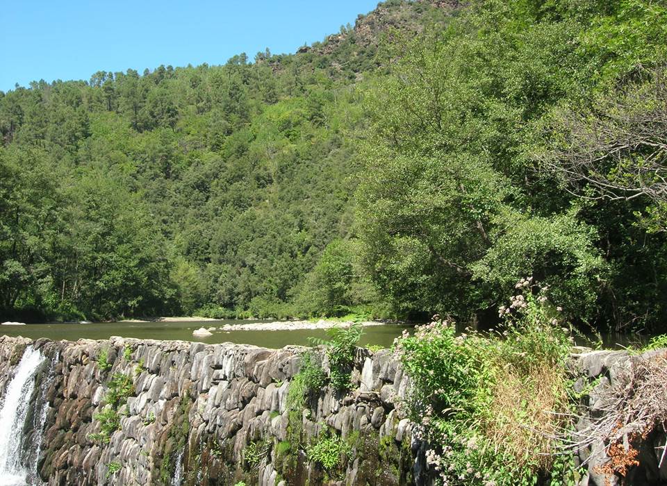 Le Luech, magnifique Gard ! Demandez-nous des infos (MVG)