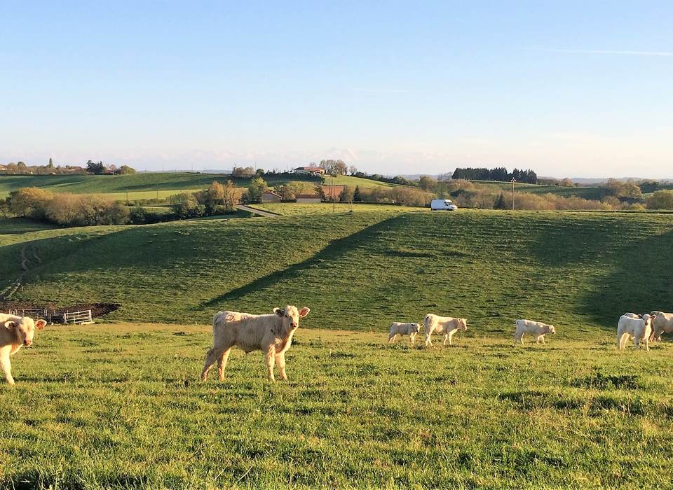 Paysage gersois