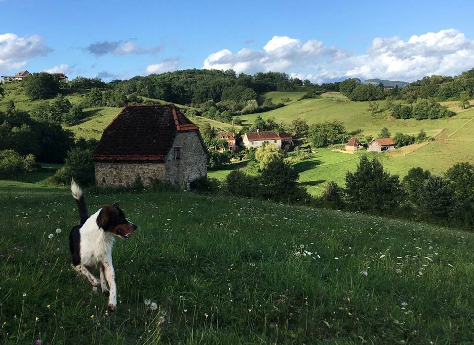 Les Champs de Vallon de Laborie - Petit Camping