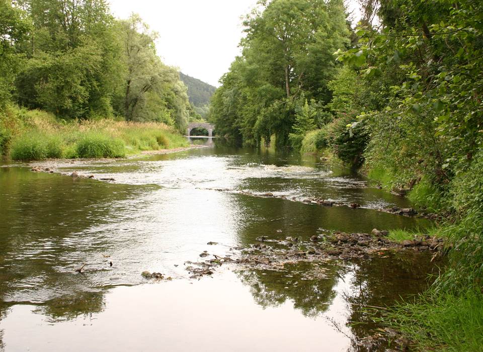 La rivière "Le Viroin" au fond du jardin