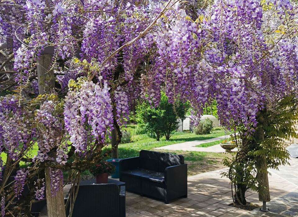 La terrasse ombragée et vue sur le potager