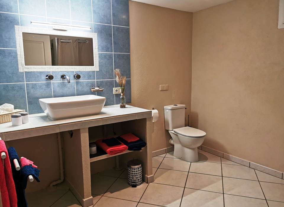 La salle d'eau, coin toilettes