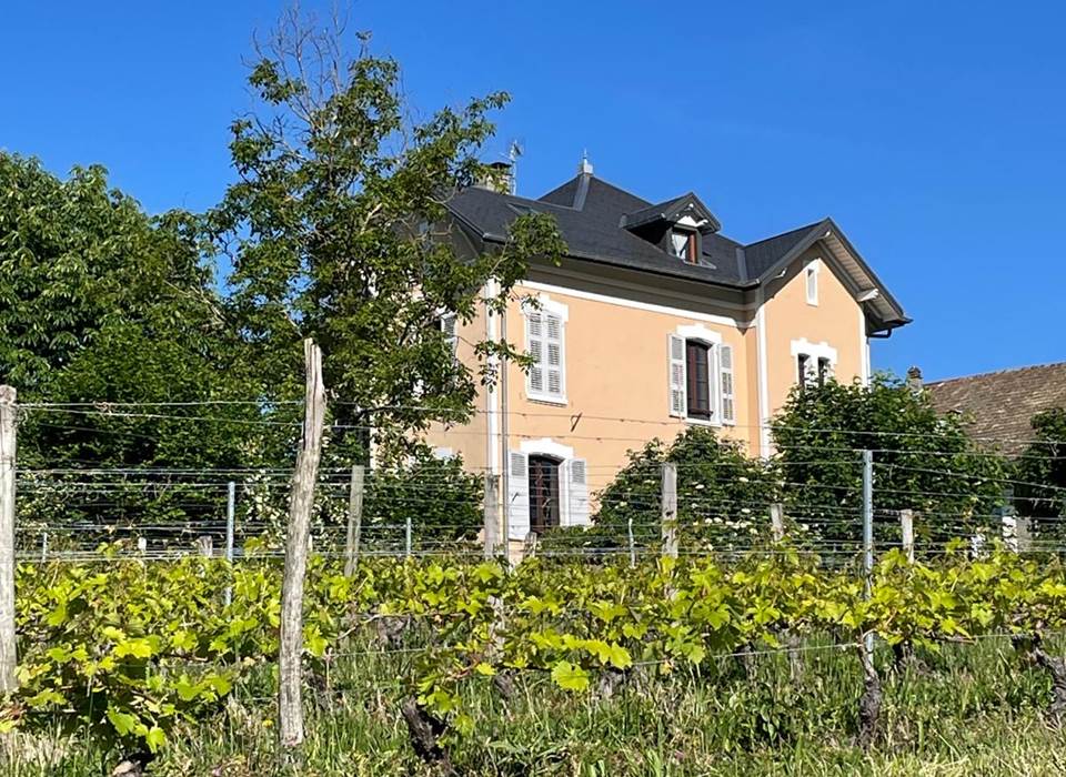 La vigne jouxte la maison