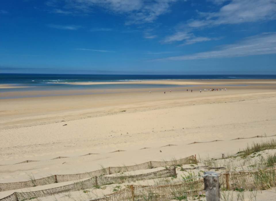 Cap Ferret