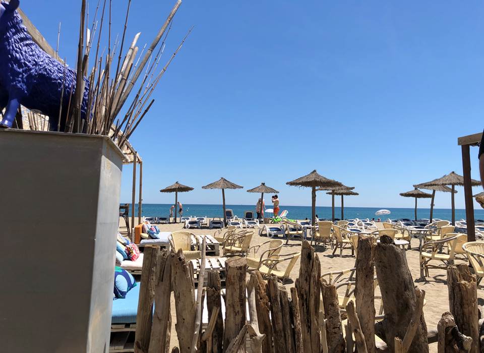 Le Barcares : Le mouton bleu face a Rivage