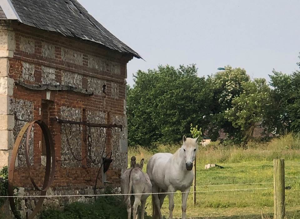 #ClosSaintJoseph_Hans et Balthazar