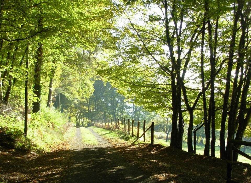 cheminVergnolles