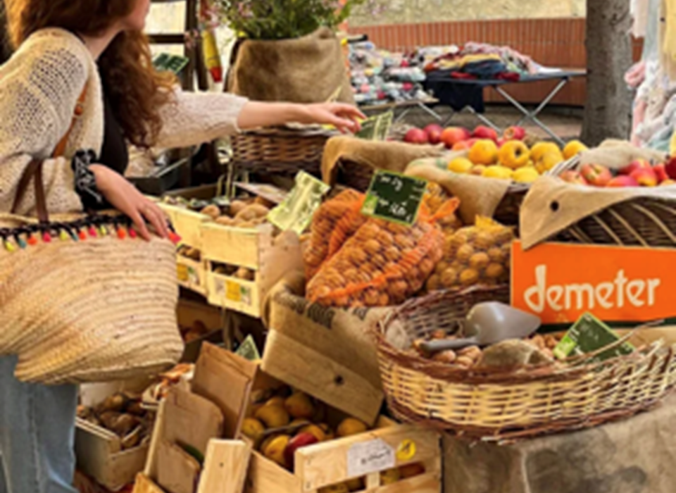 village Argeles-sur-mer marché