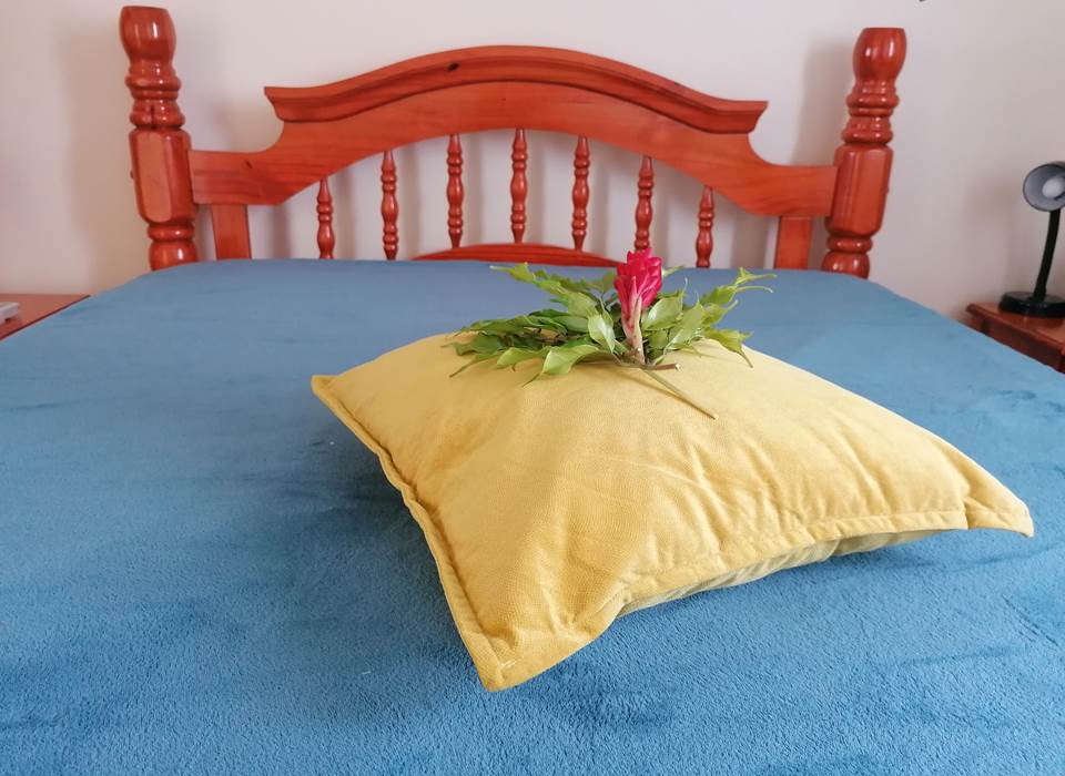 Gite_Rural_Flane_Capesterre_Belle_Eau_Guadeloupe_vacances