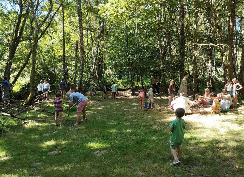 kabouterbos foto