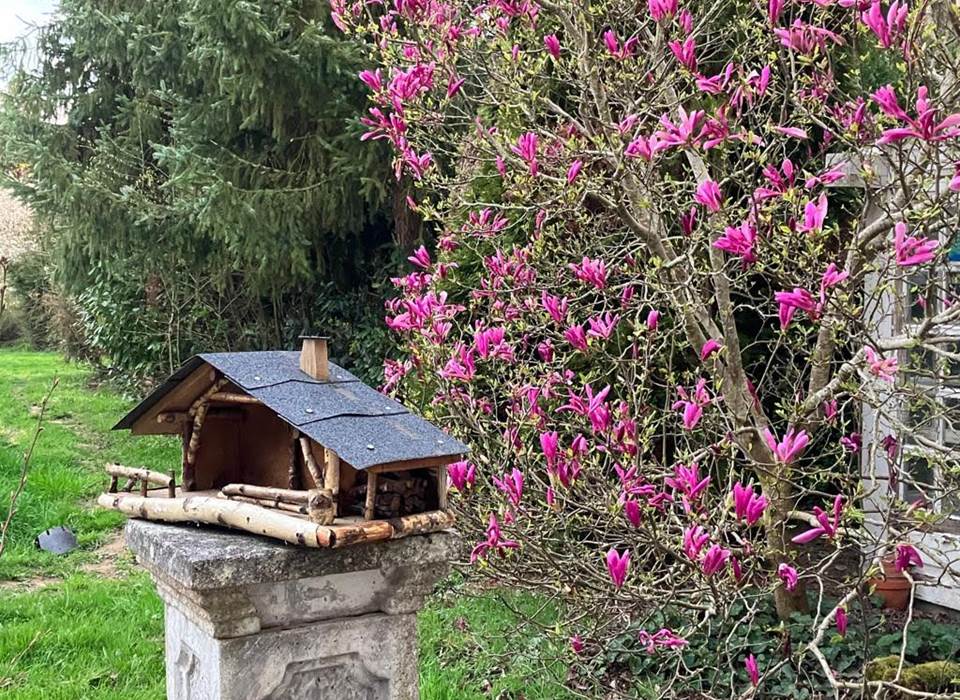 Nichoir sur l'arrière de la maison