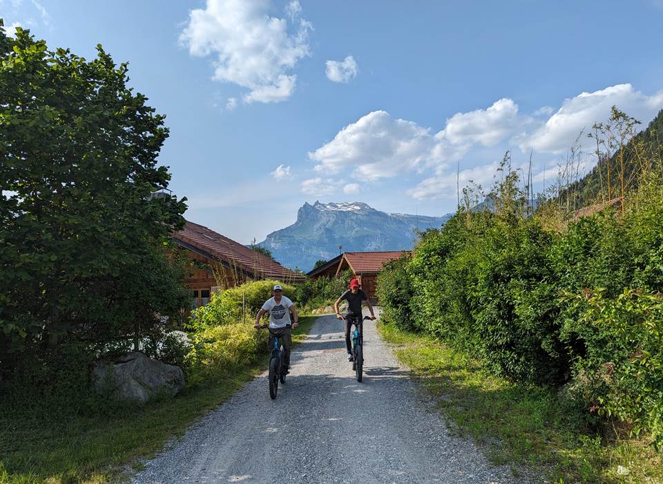 Sur les chemins