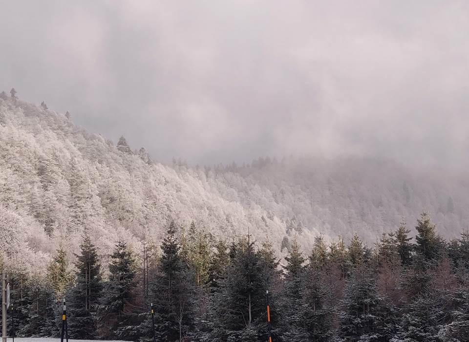 Les Vosges au petit matin