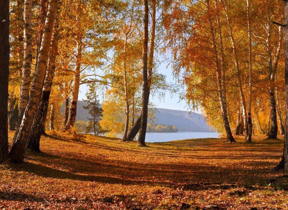 le lac de Vassivière est superbe en toutes saisons