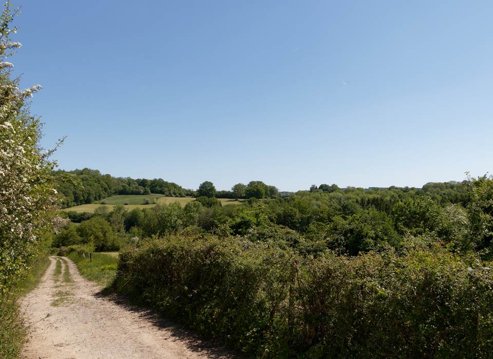 Chemin de promenade