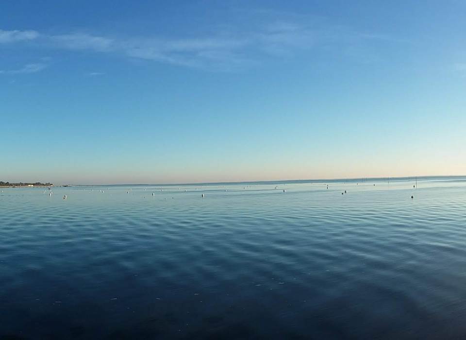 Au cœur du Bassin d 'Arcachon à Lanton. Intimité de la plage Suzette à 1.5 km de la maison d'hôtes Les Callunes. Vue sur le domaine de Certes