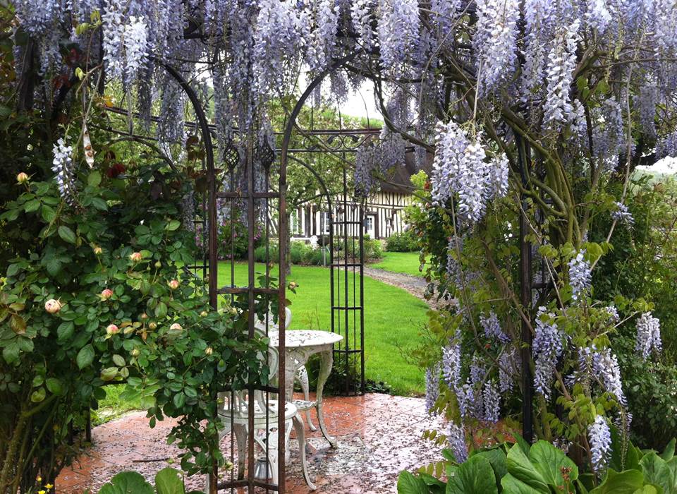 glycine