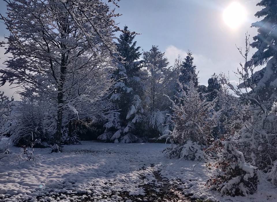Neige sur le jardin du gîte