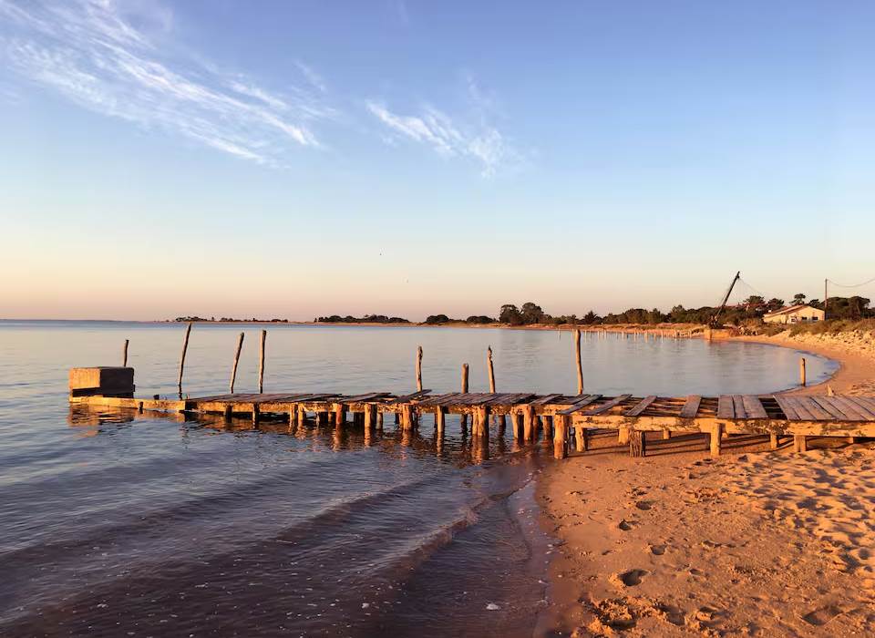 La Bergeronnette -  Ile d'Oléron